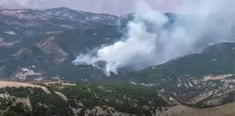 Tunceli'deki orman yangını devam ediyor