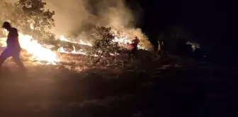 Bingöl'de bir bölgedeki yangın söndürüldü, diğer yangına müdahale sürüyor