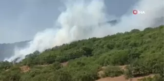 Son dakika haberleri! Bingöl'deki orman yangını devam ediyor