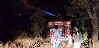 Bingöl'deki orman yangınının bir bölümü söndürüldü