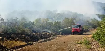 Son dakika haberi | Bingöl'deki yangına havadan ve karadan müdahale sürüyor