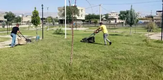 Park ve Bahçeler Müdürlüğümüz Çim Biçme ve sulama çalışmalarını sürdürüyor