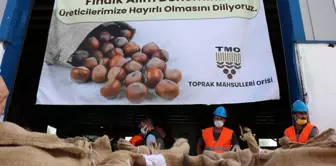 2021 yılı ilk fındık alımı törenle Sakarya'da gerçekleşti