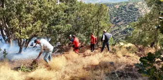 Son dakika... SAR, Bingöl'deki yangınlarda ekiplere destek verdi