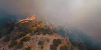 Son dakika haberi! Yarış dronu ile orman yangınları görüntülendi