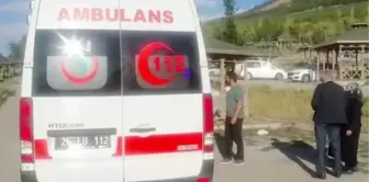 VAKALARIN ARTTIĞI ERZURUM'DA, PİKNİKTE AŞI