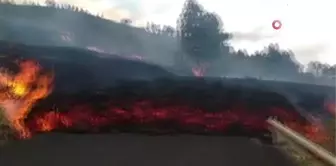 La Palma Yanardağı 100'den fazla evi yok etti