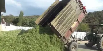 Pandemideki yem açığına karşı silaj paketleme tesisi kurdu