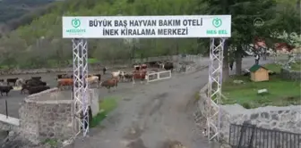 Hayvan oteli gurbetçilerin imdadına yetişiyor