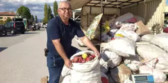 Hisarcık'ta döküntü elma alımları başladı