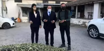 Kaymakam Memiş, zeytinyağı işletmesini ziyaret etti