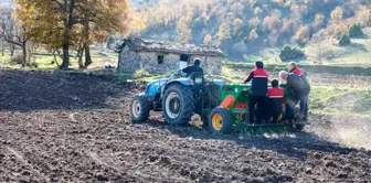 Bin dekarlık atıl durumdaki tarımsal arazi üretime kazandırıldı