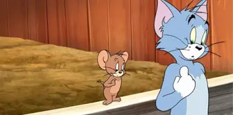 Çocuklar onlara bayılıyor! İşte Tom ve Jerry'nin gerçek kimlikleri