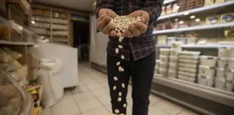 Tescilli İspir ve Hınıs fasulyeleri tüketiciden yoğun talep görüyor