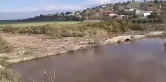 Büyük Menderes Nehri'nde toplu balık ölümleri görüldü