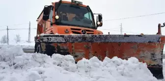 'TURUNCU KAR KAPLANLARI'NIN 2 BİN RAKIMDA ZORLU MÜCADELESİ