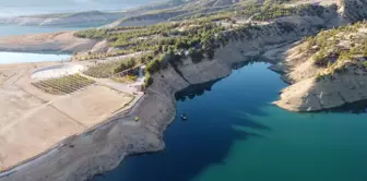 Barajın turkuazı ormanın yeşili