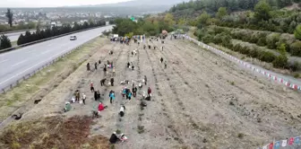 Dörtyol'da fidanlar toprakla buluşturuldu