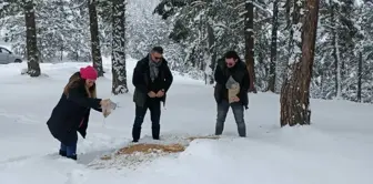 Mesudiye'de hayvanlar için doğaya yem bırakıldı