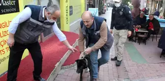 Samsun'da polisten yasaklı ırk köpek denetimi