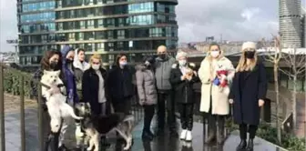 Kadıköy'de lüks sitede köpek besleyen hayvansevere tehdit: 'Samuray kılıcıyla doğrarım'