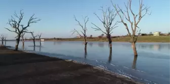 KIRKLARELİ - Trakya'da soğuk hava etkili oluyor