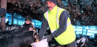 Huzur ve güven ortamıyla köyüne geri dönen çiftçinin yüzü güldü