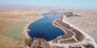 Konya Ovası'nın kuraklıktan etkilenmeyen gölü koruma altına alındı