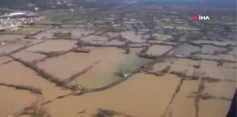 Burası ne deniz, ne göl: tütün tarlası