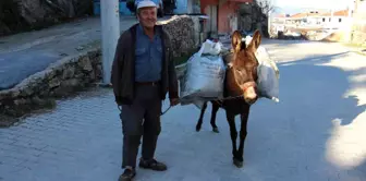 Kırsaldaki yük hayvanları kıymete bindi