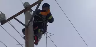 Konya'da 5 ilçedeki elektrik kesintisi sona erdi