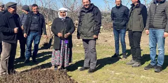 Antep fıstıkları ormanla buluştu