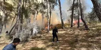 Göcek'te orman yangını (1)