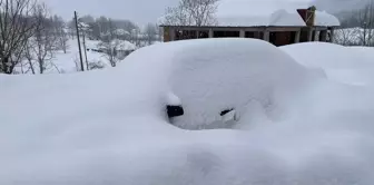 Ordu baharı beklerken beyaza büründü! Kar kalınlığı 3 metreyi aştı, araçlar kayıp