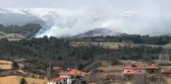 Son dakika gündem: Uşak'ta çıkan orman yangınına müdahale ediliyor