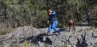 Mersin'de kaybolan alzaymır hastası aranıyor