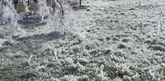 Kayısı bahçelerindeki donun boyutu kameralara yansıdı