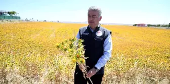 Kayseri aspir merkezi oldu