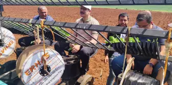 Kilis'e özgü Zabaran çeşidi patlıcanın dikimine başlandı