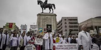 Veteriner hekimlerden sağlıkta şiddet yasası kapsamına alınma talebi