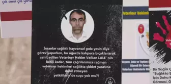 'Veteriner Hekimlerin Bir An Önce Sağlıkta Şiddet Uygulaması Kapsamına Alınmasını Zaruri Görüyoruz'