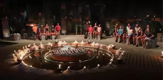 Survivor All Star'da yaprak dökümü! Sakatlanan Merve Aydın ve Parviz diskalifiye oldu