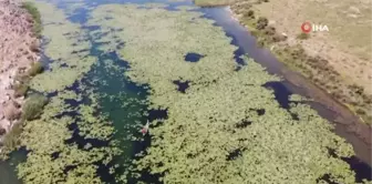 Son dakika haber! Hatay'ın nazar boncuğu olarak bilinen Gölbaşı gölü turizme kazandırma çalışmaları sürüyor