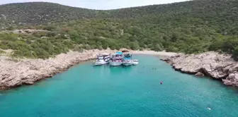 Bodrum'da Sualtı Sergisi Açıldı