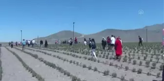 Karapınar'da Göktepe, Acıgöl, Lavanta Bahçesi Uçuş Festivali düzenlendi