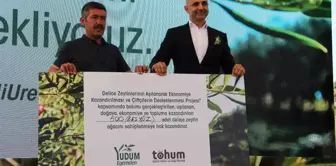 Yudum Egemden ve Tohum Derneği, yabani zeytin ağaçlarını ekonomiye kazandırıyor