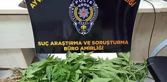 Ayvacık'ta uyuşturucu operasyonunda 1 kişi tutuklandı