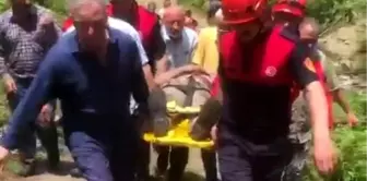 Kestiği ağacın altında mahsur kaldı