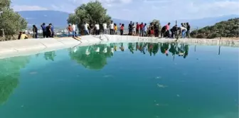 Aydın'da sulama havuzuna giren iki arkadaş boğuldu