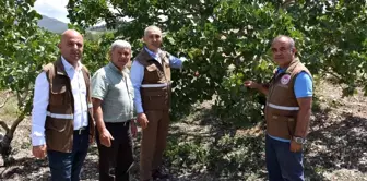 'Menengiçten Antep Fıstığına Giden Yol' Selendi'den geçiyor